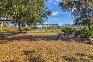 3897 Villamore Ln, Odessa, FL 33556 - Photo 65