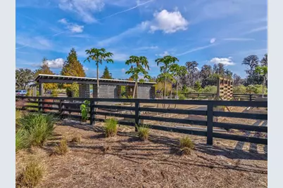 3897 Villamore Lane, Odessa, FL 33556 - Photo 69