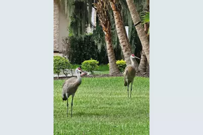 3612 Northwoods Drive, Kissimmee, FL 34746 - Photo 47