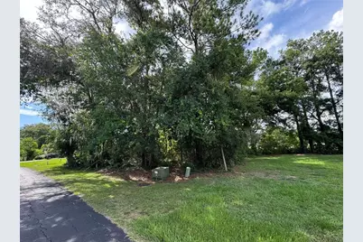 18035 Glen Raven Boulevard, Brooksville, FL 34604 - Photo 3