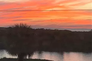 3342 Turks Cap Dr, Hernando Beach, FL 34607 - Photo 41