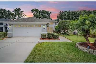 1045 Trafalgar Drive, New Port Richey, FL 34655 - Photo 1