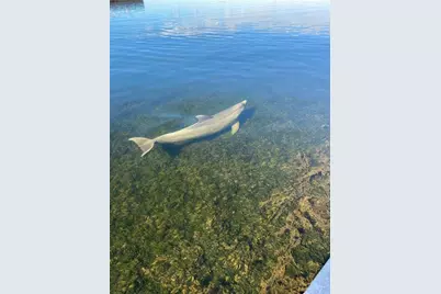 Saltwater Blvd, Hudson, FL 34667 - Photo 7