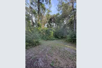 12300 Walter Street, Hudson, FL 34669 - Photo 1