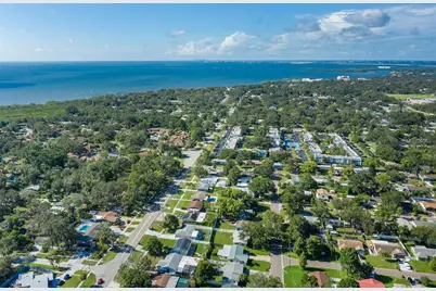 2180 Philippe Parkway, Safety Harbor, FL 34695 - Photo 75