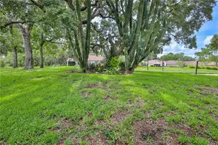 464 Mistwood Ct, Spring Hill, FL 34609 - Photo 51
