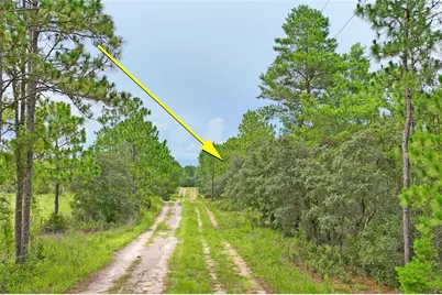 9423 N Tami Path, Dunnellon, FL 34433 - Photo 3