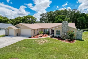 2124 Little Peach Ct, Spring Hill, FL 34608 - Photo 1