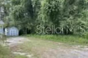 11947 Panama Ave, New Port Richey, FL 34654 - Photo 3