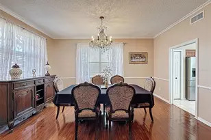 13002 St Filagree Dr, Riverview, FL 33579 - Photo 11