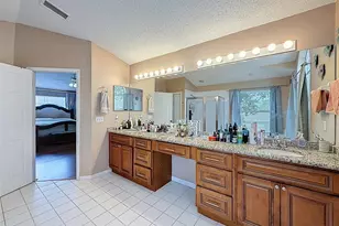 13002 St Filagree Dr, Riverview, FL 33579 - Photo 49