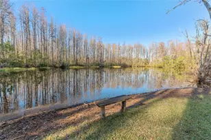 12155 Environmental Dr, New Port Richey, FL 34654 - Photo 33