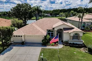 1132 Rambling Vine Ct, Trinity, FL 34655 - Photo 1