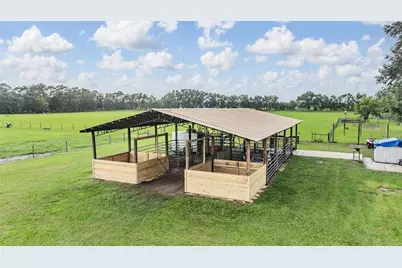 12148 Cr 774A, Webster, FL 33597 - Photo 5