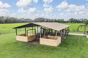 12148 Cr 774A, Webster, FL 33597 - Photo 5