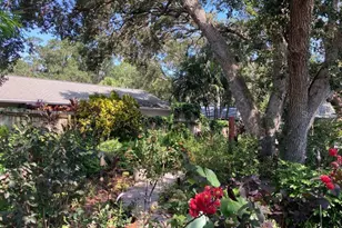 2880 Cinnamon Bear Trail, Palm Harbor, FL 34684 - Photo 11