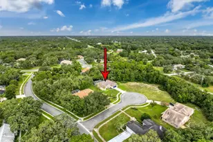 18933 Black Gum Ct, Hudson, FL 34667 - Photo 45