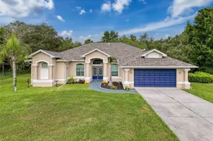 18933 Black Gum Ct, Hudson, FL 34667 - Photo 1