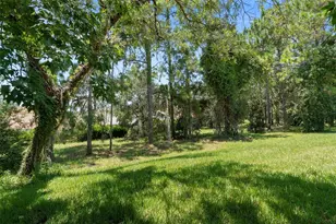 1031 W Diamond Shore Loop, Hernando, FL 34442 - Photo 43