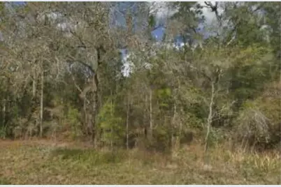 15389 Spring Hill Drive, Brooksville, FL 34604 - Photo 3