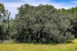 20089 Ayers Rd, Brooksville, FL 34604 - Photo 33