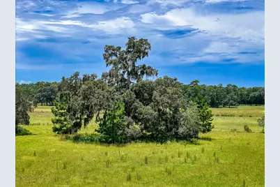 20089 Ayers Road, Brooksville, FL 34604 - Photo 27