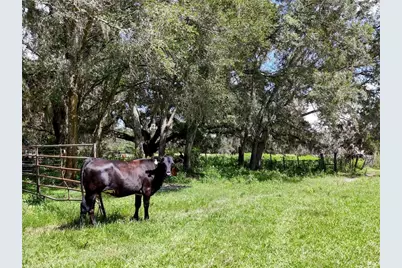 20089 Ayers Road, Brooksville, FL 34604 - Photo 17