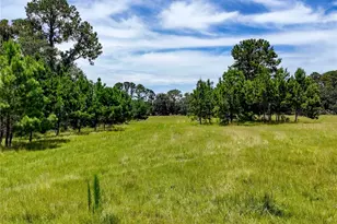 20089 Ayers Rd, Brooksville, FL 34604 - Photo 29