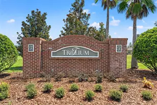 15531 Stone House Dr, Brooksville, FL 34604 - Photo 51