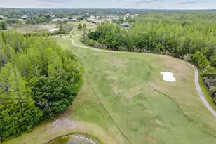 7605 Kinnow Ct, Land O Lakes, FL 34637 - Photo 57