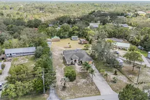 16402 Fringe Tree Dr, Spring Hill, FL 34610 - Photo 45