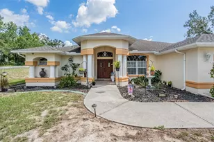 16402 Fringe Tree Dr, Spring Hill, FL 34610 - Photo 5
