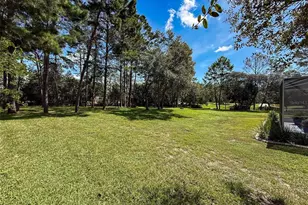 11235 Warm Wind Way, Weeki Wachee, FL 34614 - Photo 77