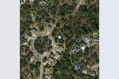 29 Black Willow Court N, Homosassa, FL 34446 - Photo 1