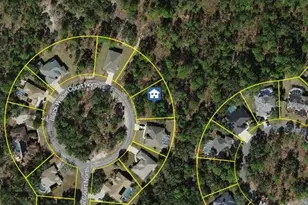 29 Black Willow Ct N, Homosassa, FL 34446 - Photo 1