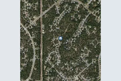 29 Black Willow Court N, Homosassa, FL 34446 - Photo 3