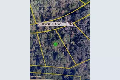 14388 Chimney Swift Road, Weeki Wachee, FL 34614 - Photo 5
