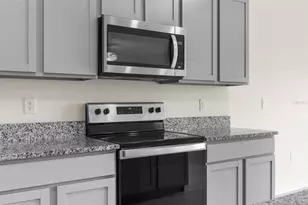 34314 Jasper Stone Dr, Wesley Chapel, FL 33543 - Photo 13