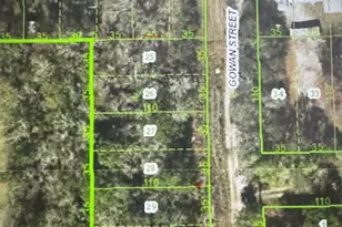 Gowan St, New Port Richey, FL 34654 - Photo 1