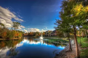 2151 Chianti Pl, Palm Harbor, FL 34683 - Photo 17