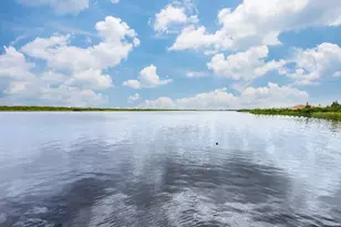 16176 La Barge Cir, Port Charlotte, FL 33981 - Photo 65