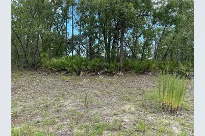 1195 W Hampshire Boulevard, Citrus Springs, FL 34434 - Photo 1