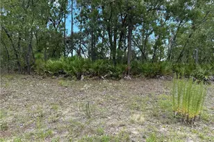 1195 W Hampshire Blvd, Citrus Springs, FL 34434 - Photo 1