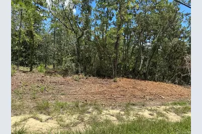 955 W Hampshire Boulevard, Citrus Springs, FL 34434 - Photo 1