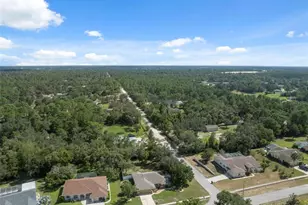 14008 N Bruni Dr, Spring Hill, FL 34609 - Photo 53