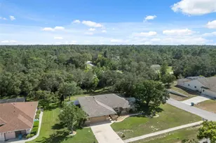 14008 N Bruni Dr, Spring Hill, FL 34609 - Photo 51