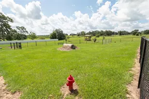 11644 Judicial Ct, Dade City, FL 33525 - Photo 53