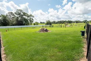 11644 Judicial Ct, Dade City, FL 33525 - Photo 51