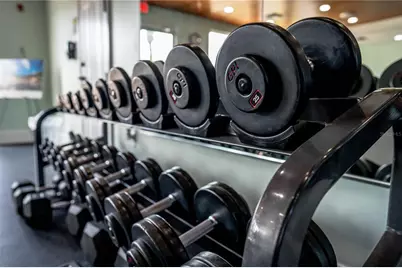 4675 Hickory Oak Drive, Brooksville, FL 34601 - Photo 59