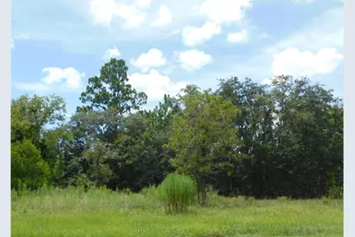 6683 N Bedstrow Boulevard, Dunnellon, FL 34434 - Photo 5